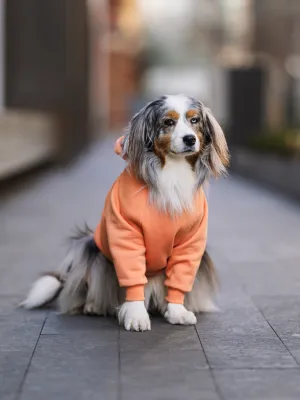 Orange is the New Bark Hoodie