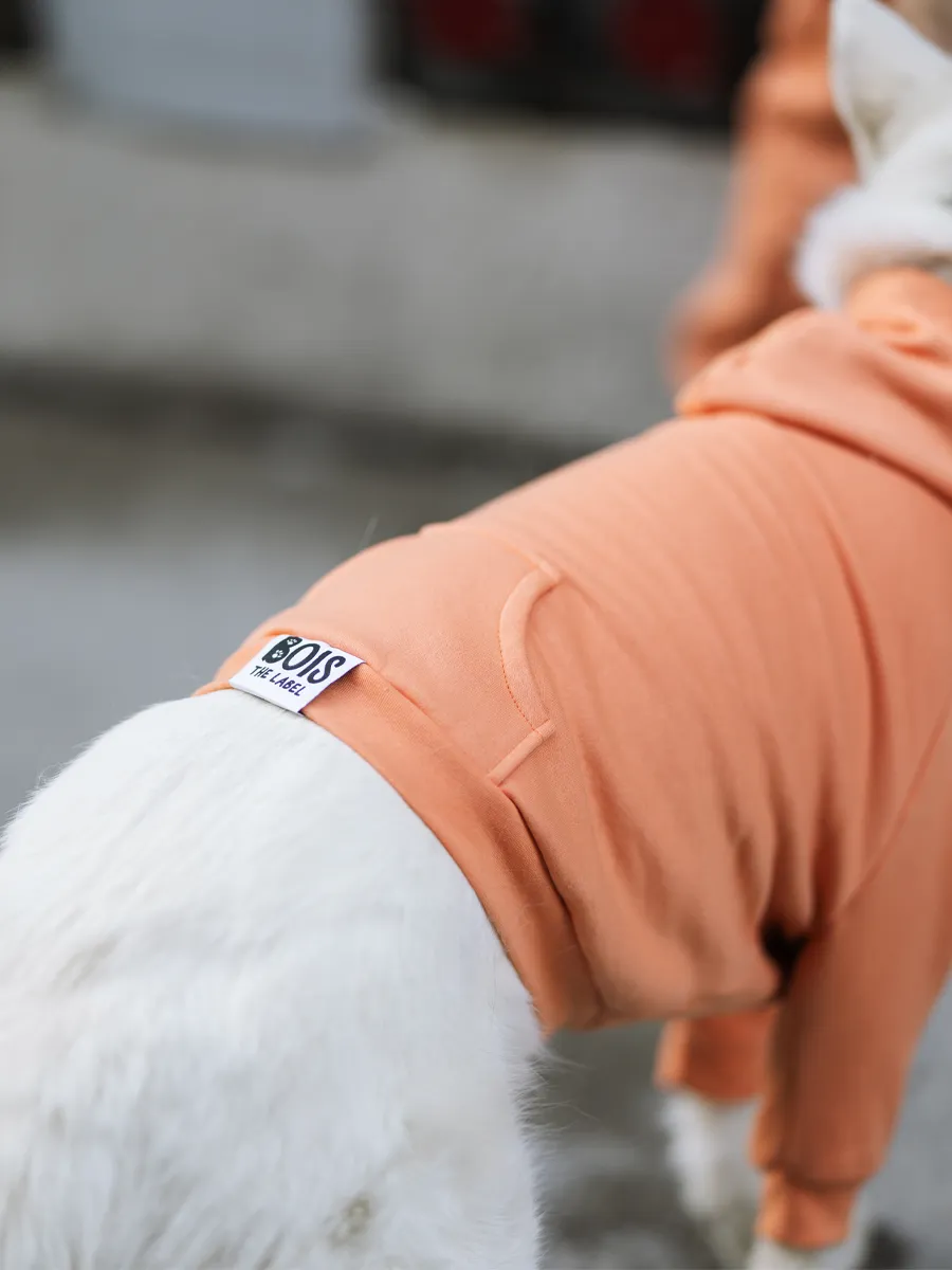 Orange is the New Bark Hoodie